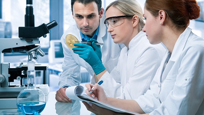 企业团检标准规范制定：科学评估，精准呵护